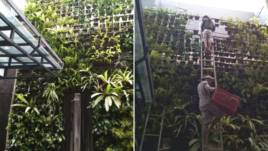 Pembuatan-Vertical-Garden