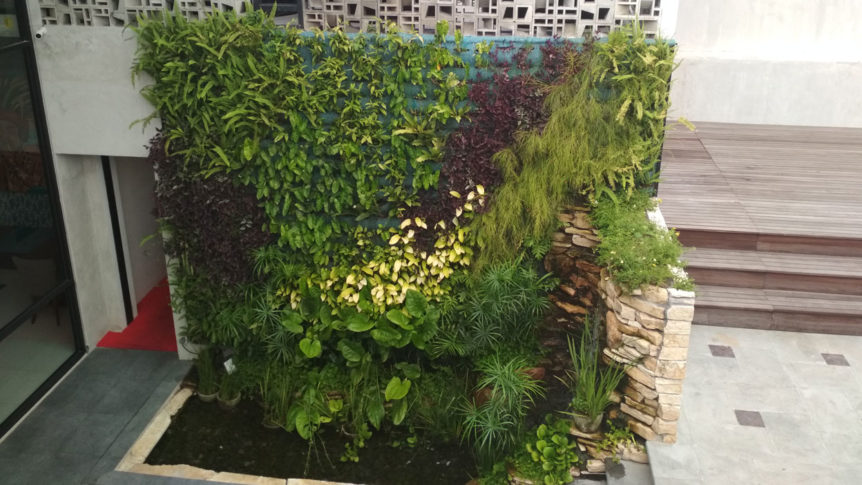 Vertical-Garden-design-and-build