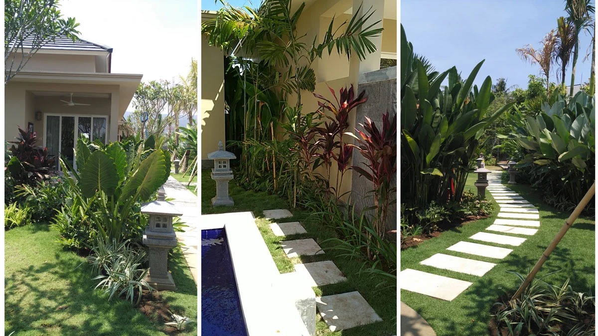 Landscape-Pool-and-Pathway