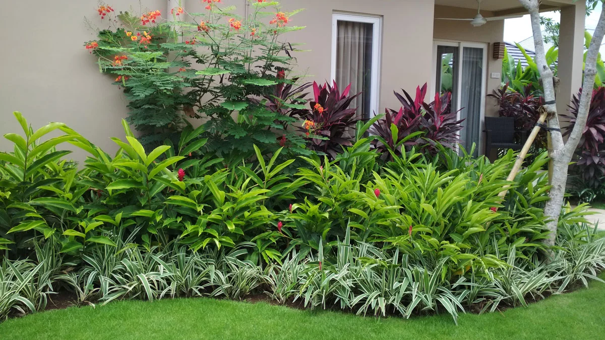 Taman Tropis Villa di Bali