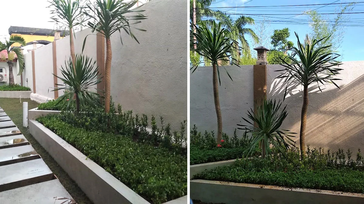 Taman-Rumah-Minimalis