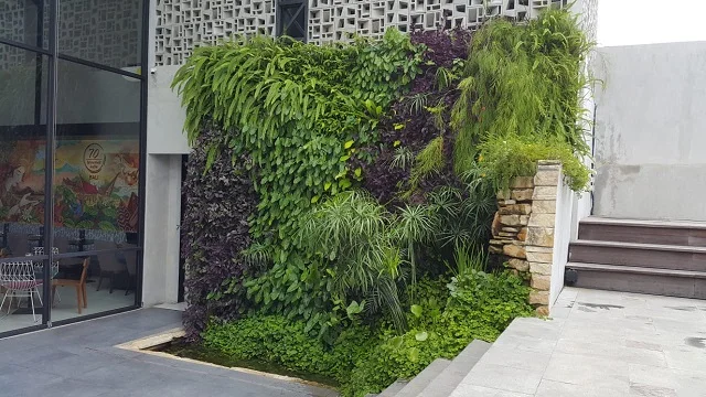 jasa pembuatan vertical garden denpasar